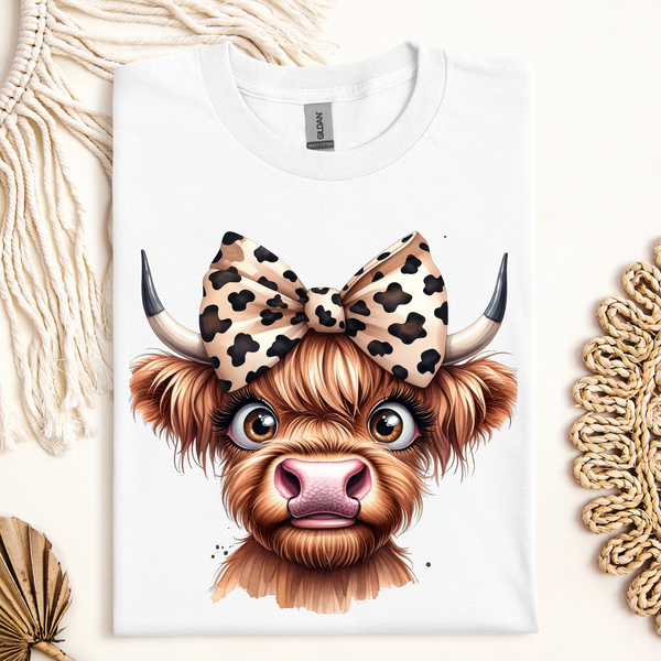 Highland Cow